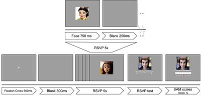 Stylized faces enhance ERP features used for the detection of emotional responses